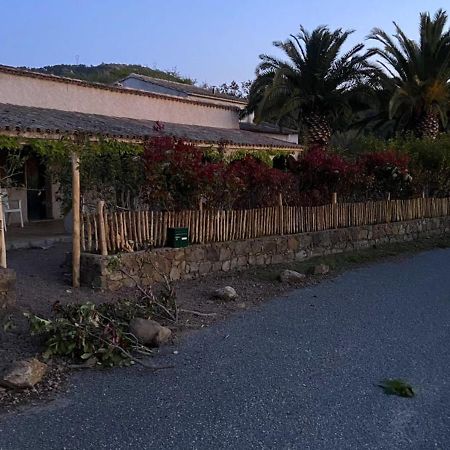 Les Lodges De La Plage U Dragulinu Sari-Solenzara Bagian luar foto