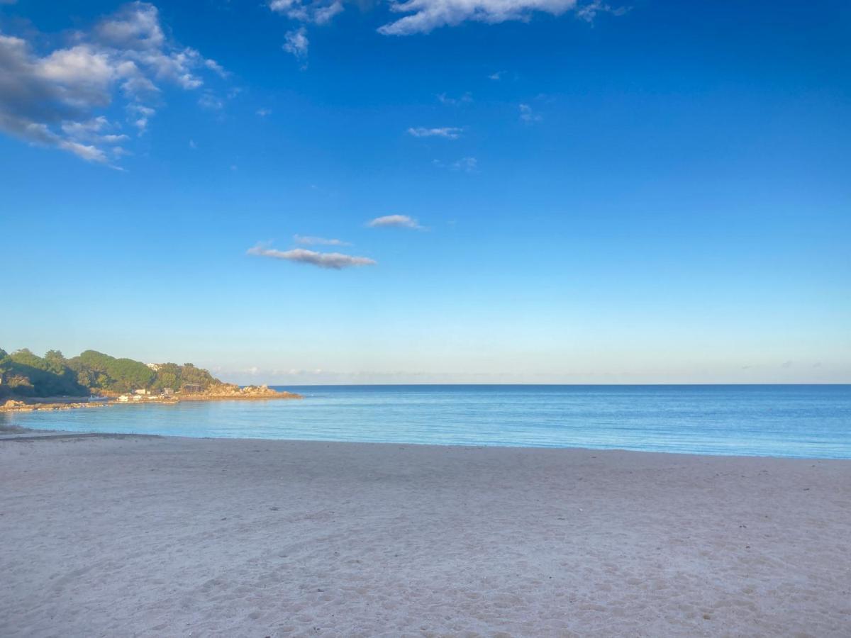 Les Lodges De La Plage U Dragulinu Sari-Solenzara Bagian luar foto