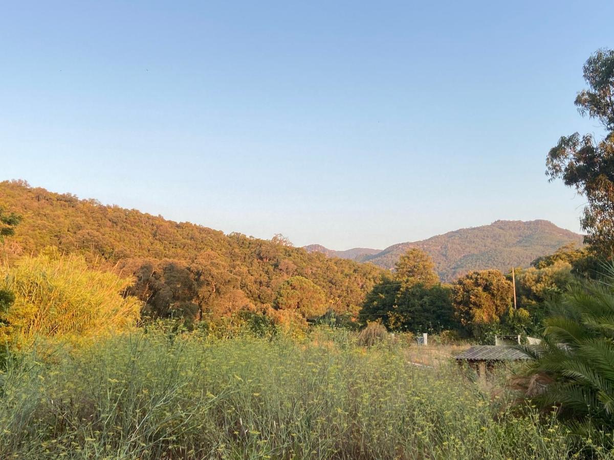 Les Lodges De La Plage U Dragulinu Sari-Solenzara Bagian luar foto